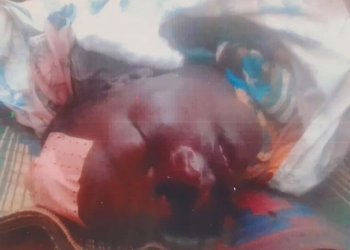 RCA: qui va endosser la responsabilité des victimes de la Minusca à Bria?