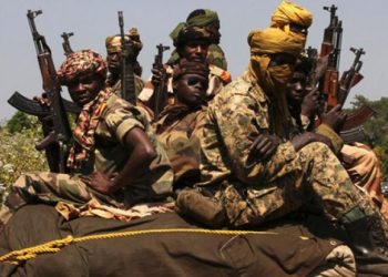 FACA DESTROYED A REBEL CAMP IN BOKOLOBO