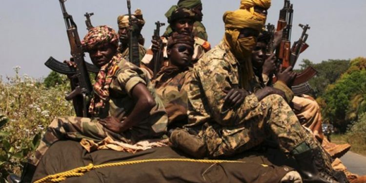 FACA DESTROYED A REBEL CAMP IN BOKOLOBO