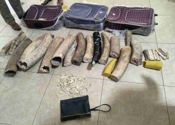 La contrebande d’ivoire par la MINUSCA à l’Aéroport de Bangui